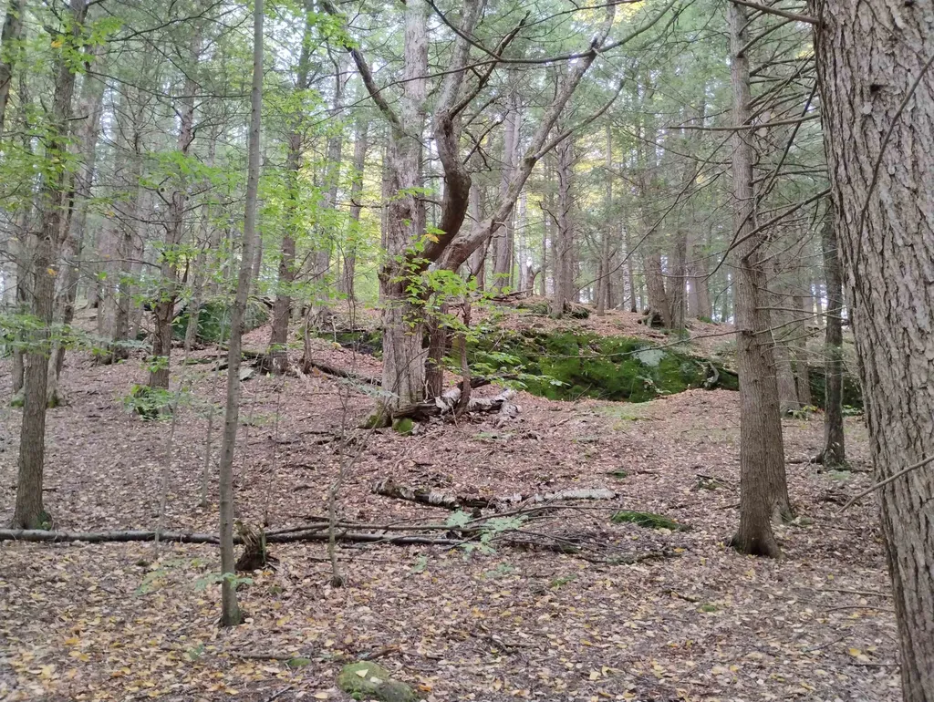 0 Taft Road Townshend VT 05353