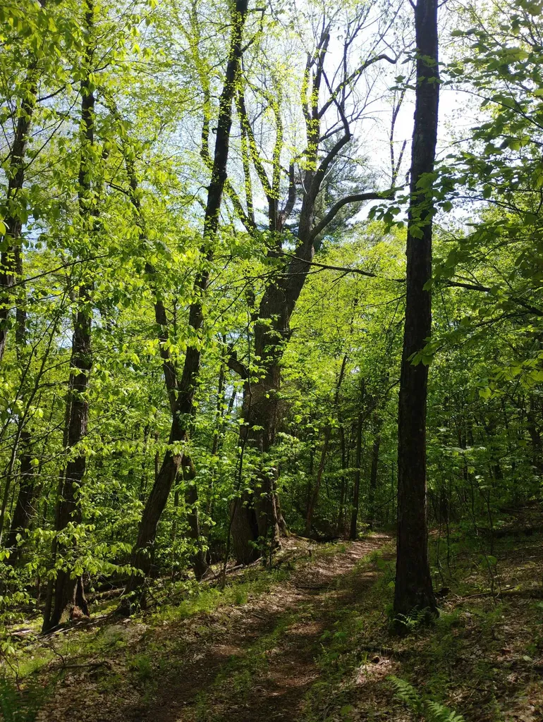 0 Taft Road Townshend VT 05353