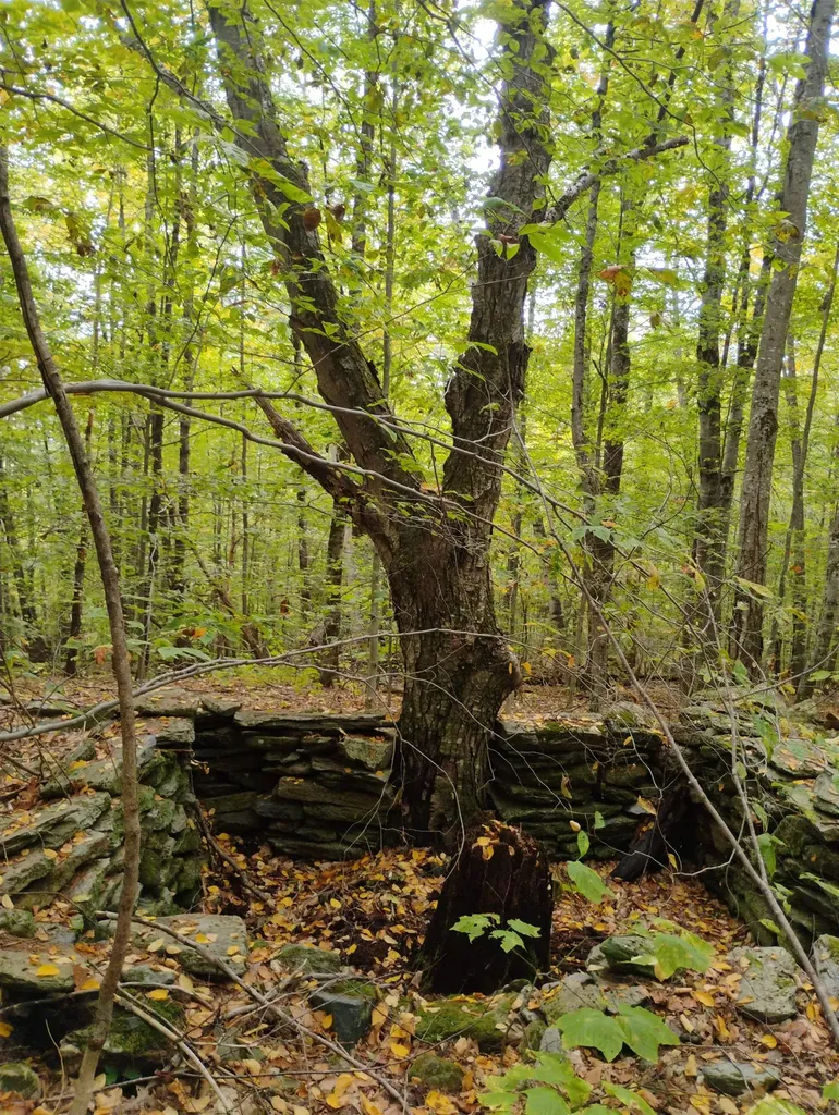 0 Taft Road Townshend VT 05353