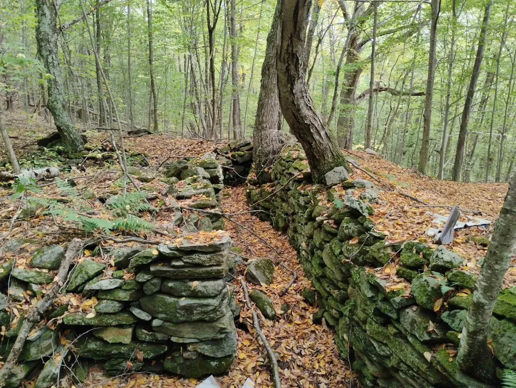 0 Taft Road Townshend VT 05353