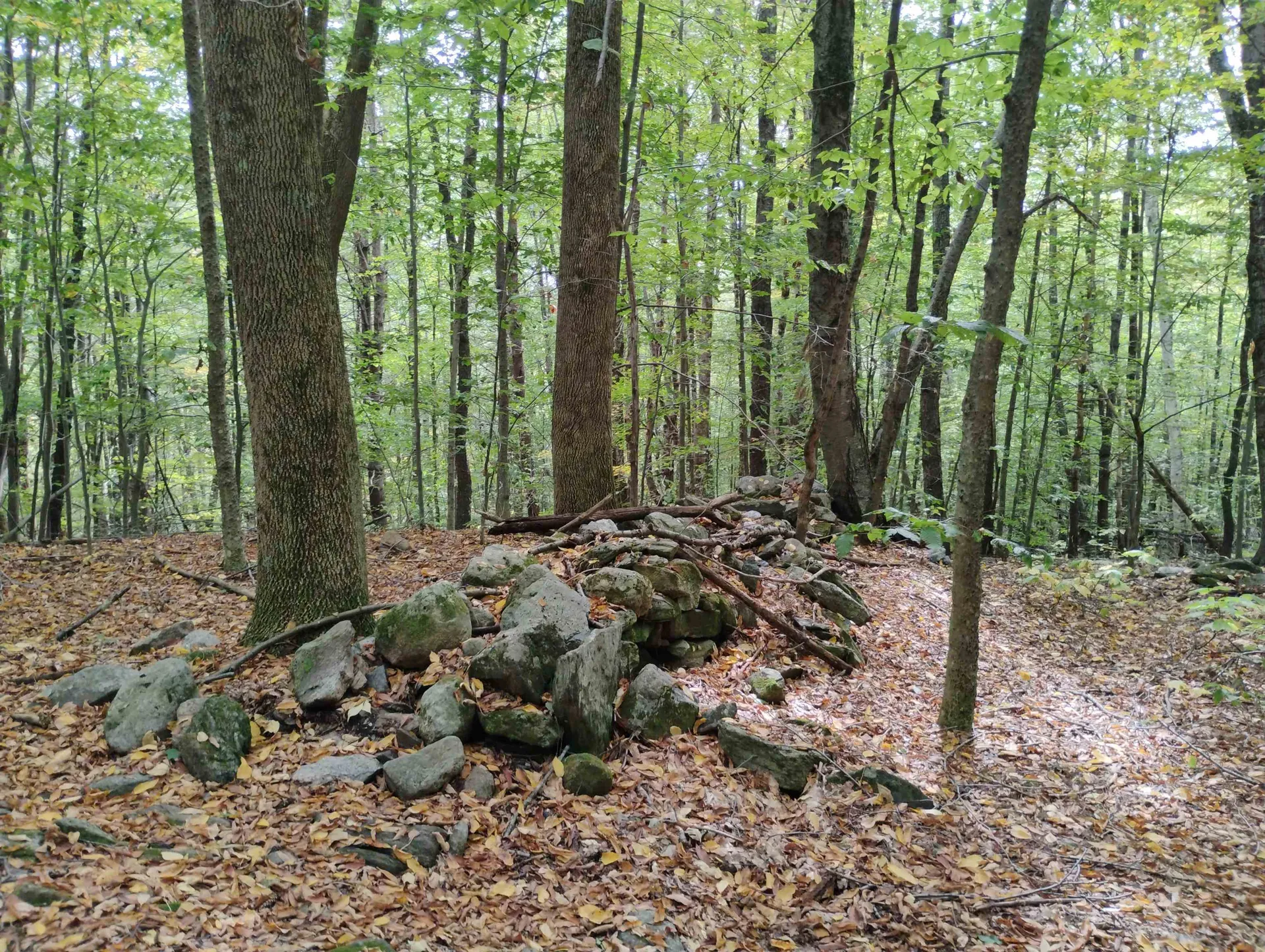 0 Taft Road Townshend VT 05353