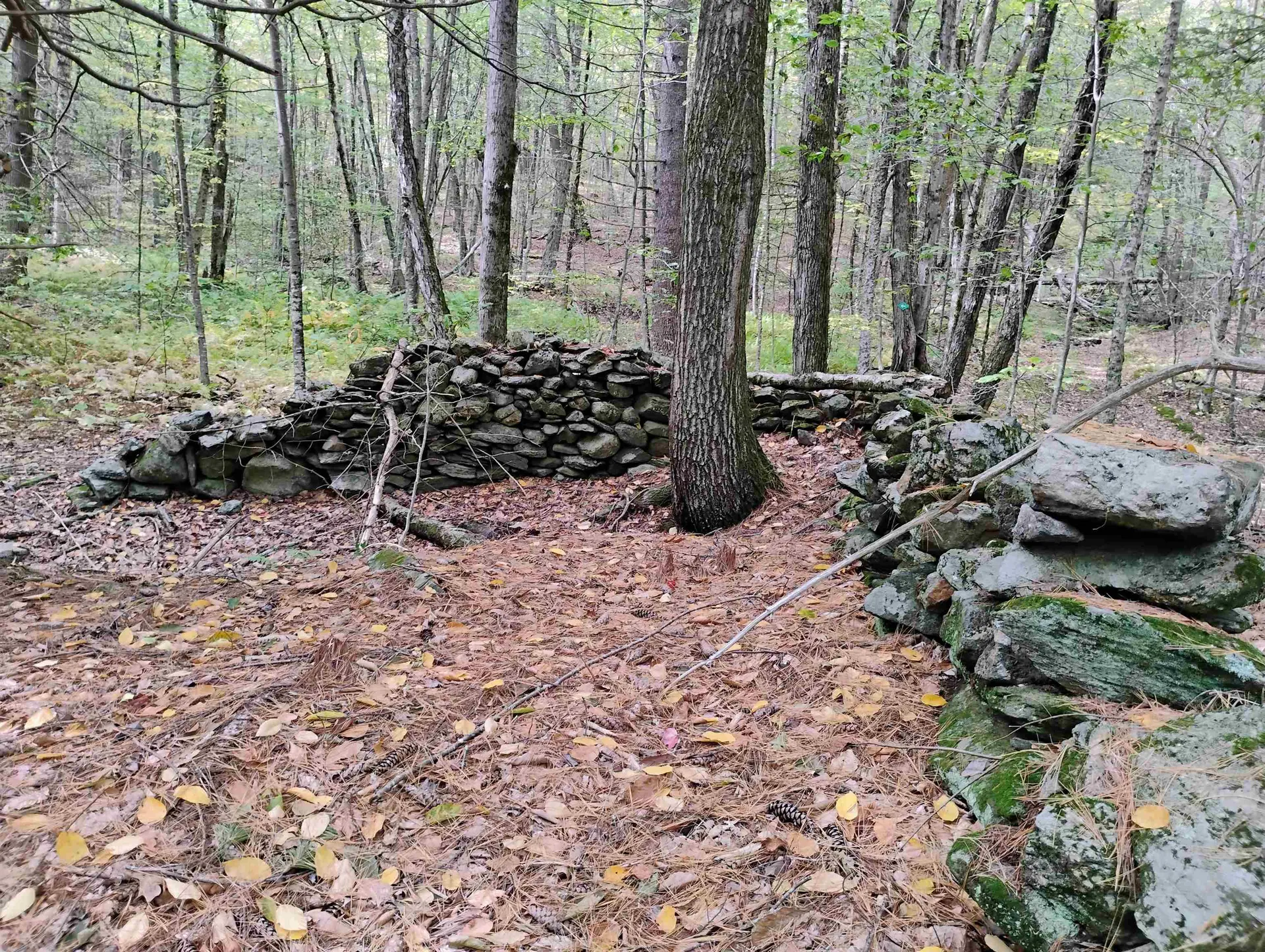 0 Taft Road Townshend VT 05353