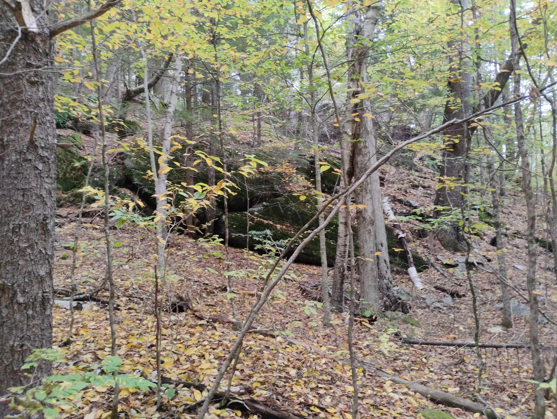 0 Taft Road Townshend VT 05353