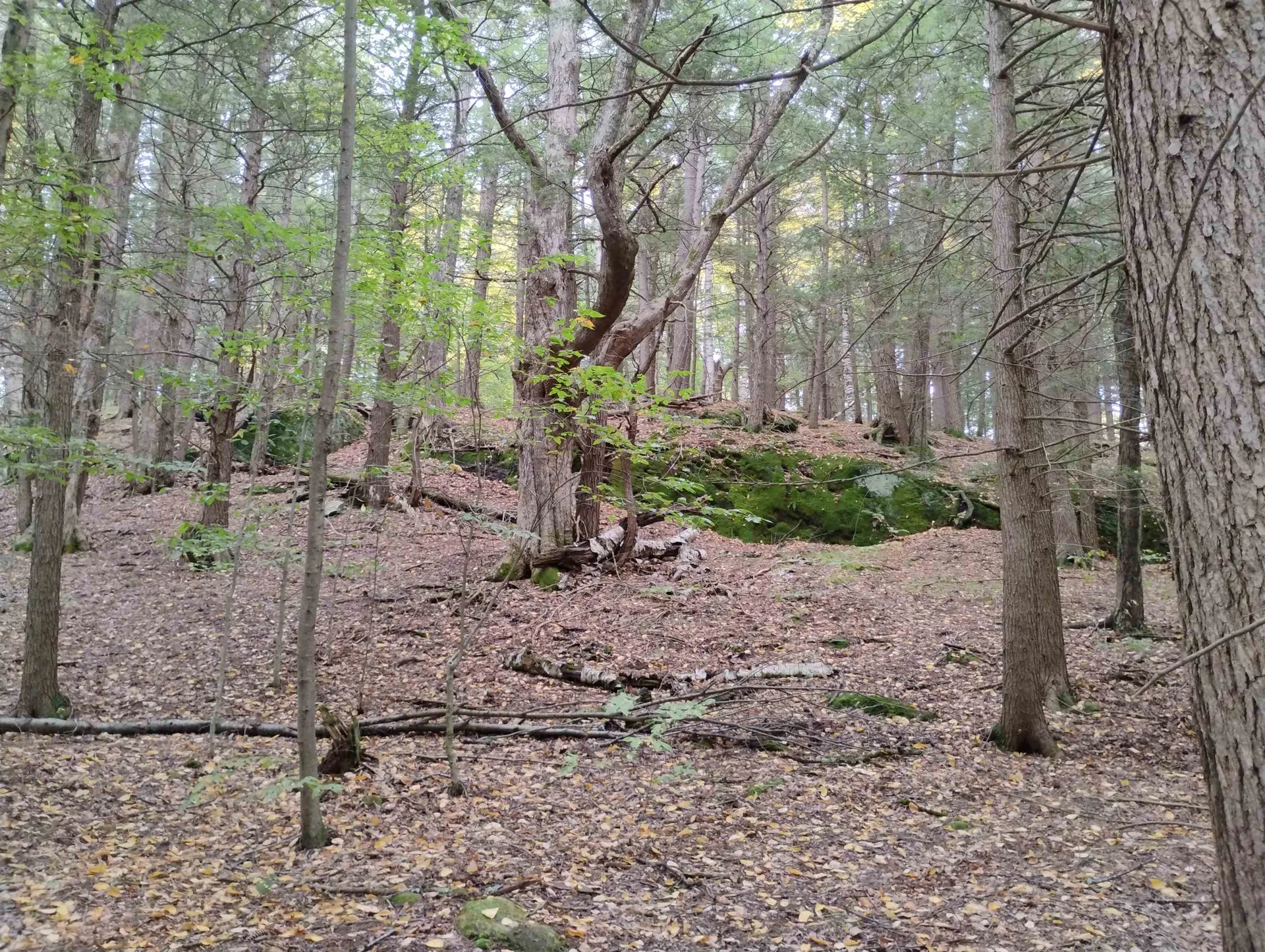 0 Taft Road Townshend VT 05353