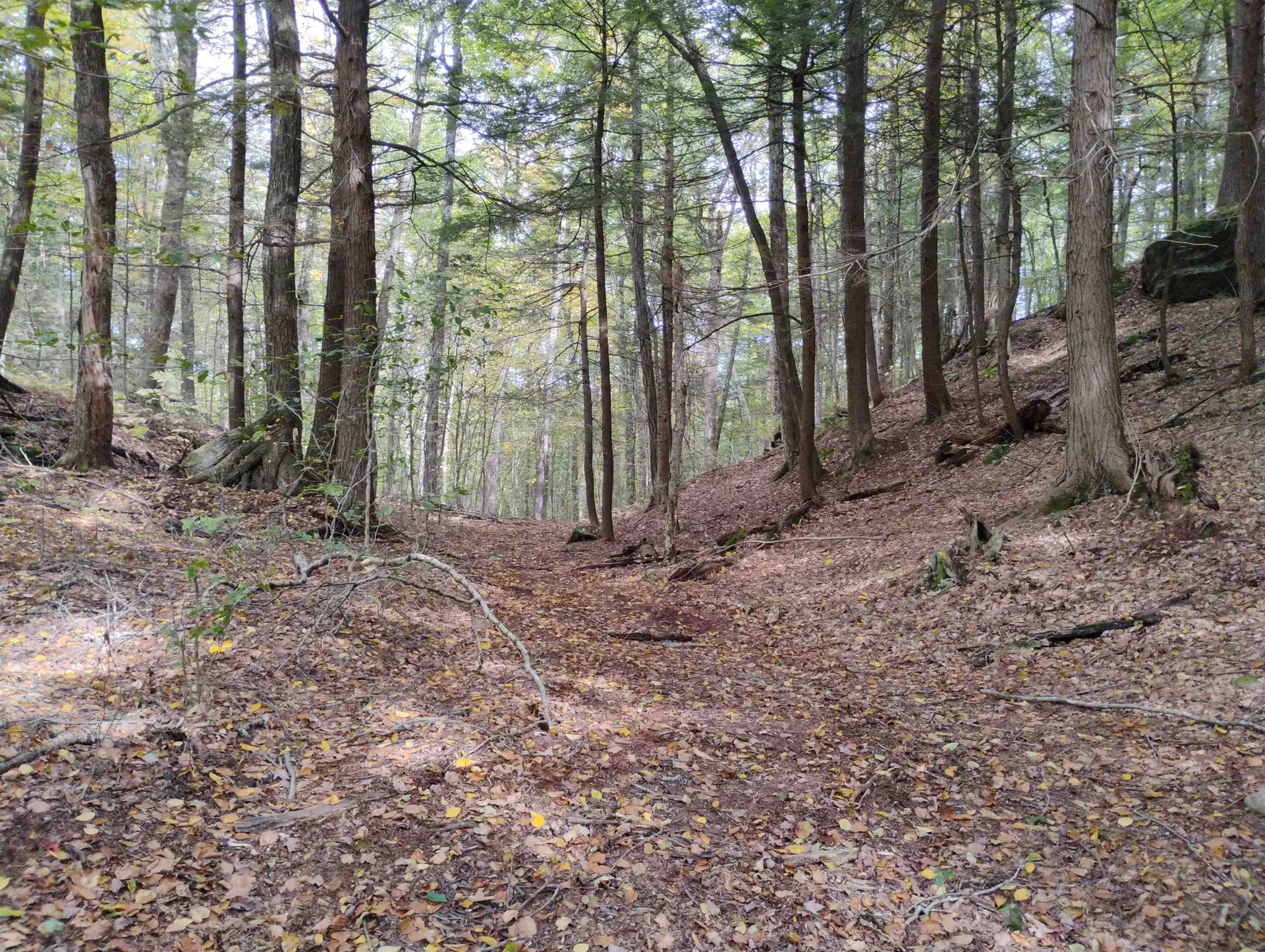 0 Taft Road Townshend VT 05353