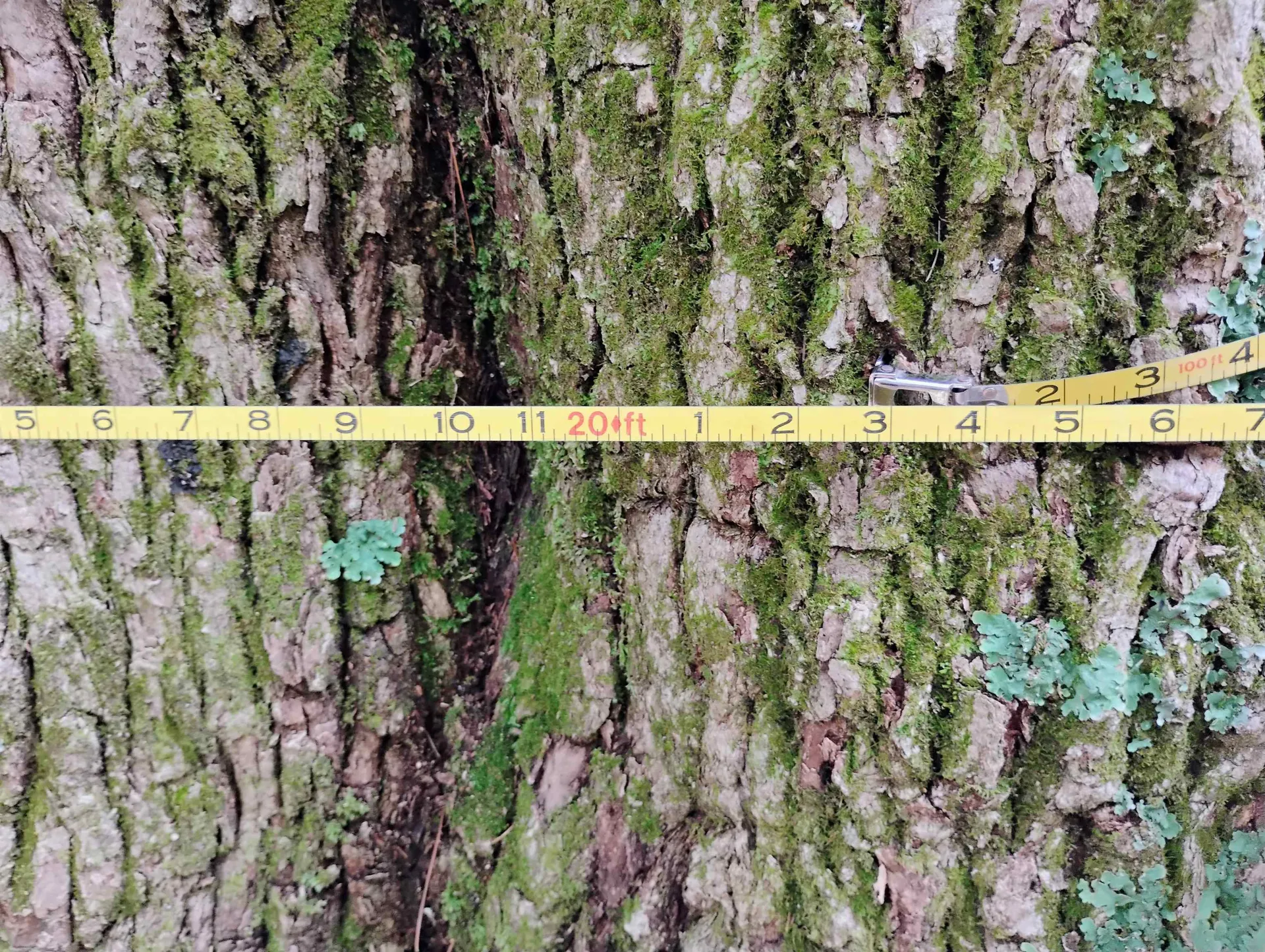 0 Taft Road Townshend VT 05353