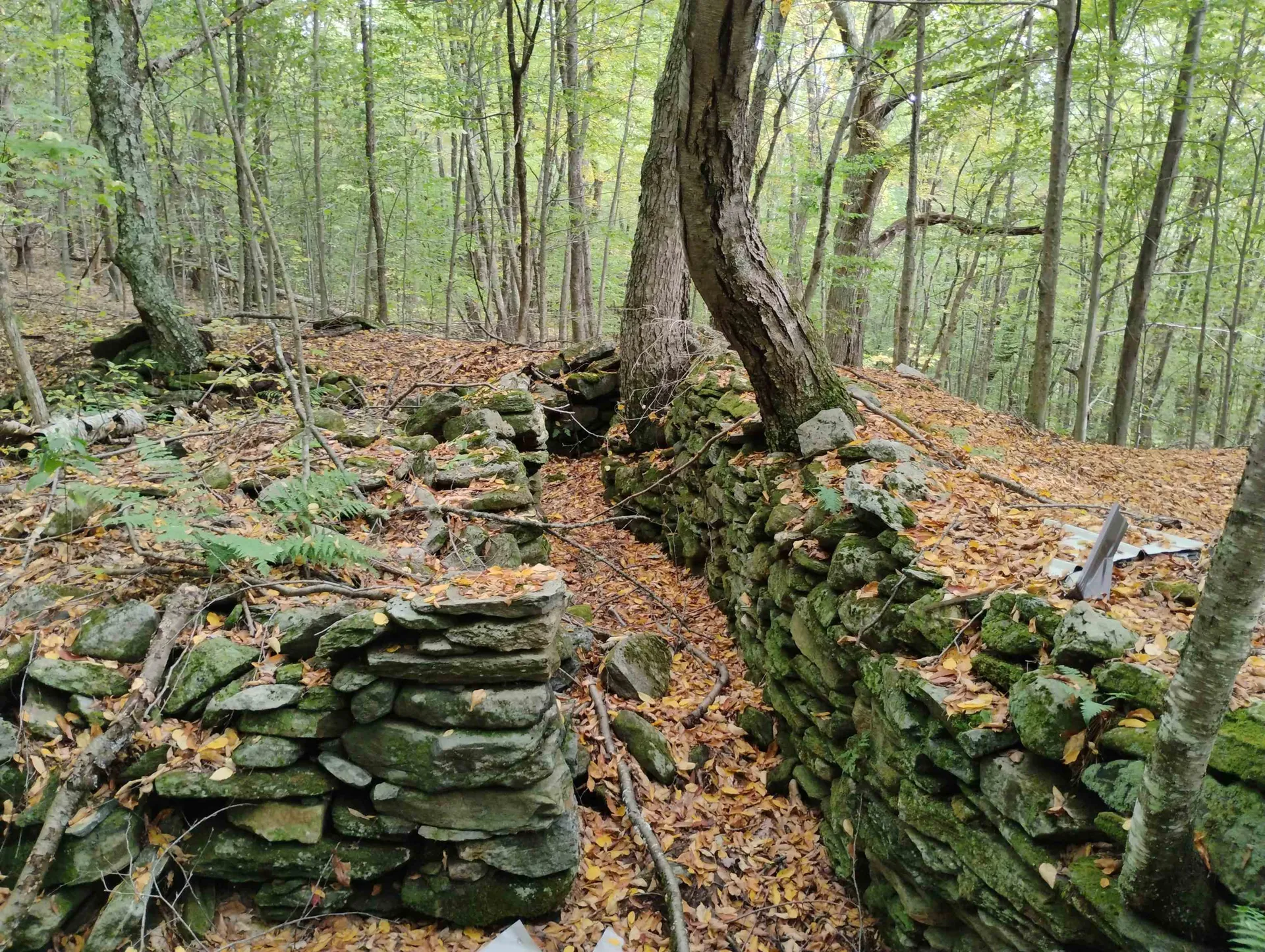 0 Taft Road Townshend VT 05353