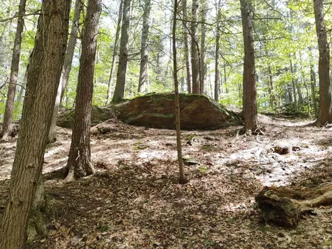 0 Taft Road Townshend VT 05353