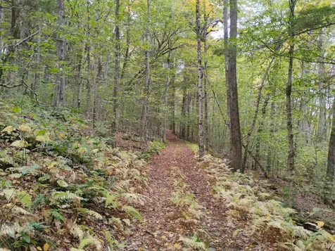 0 Taft Road Townshend VT 05353