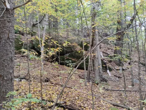 0 Taft Road Townshend VT 05353