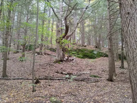 0 Taft Road Townshend VT 05353