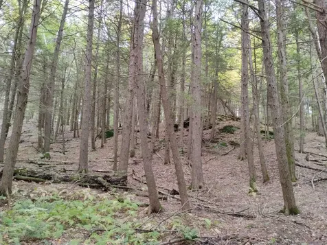 0 Taft Road Townshend VT 05353