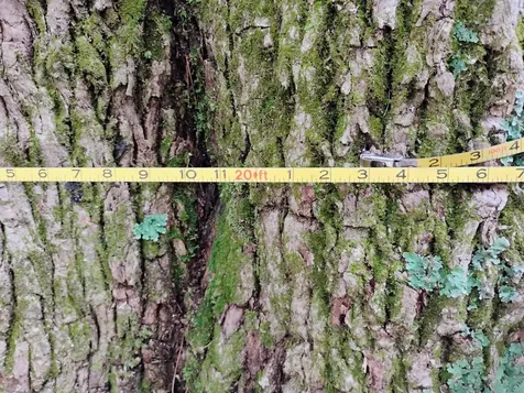 0 Taft Road Townshend VT 05353