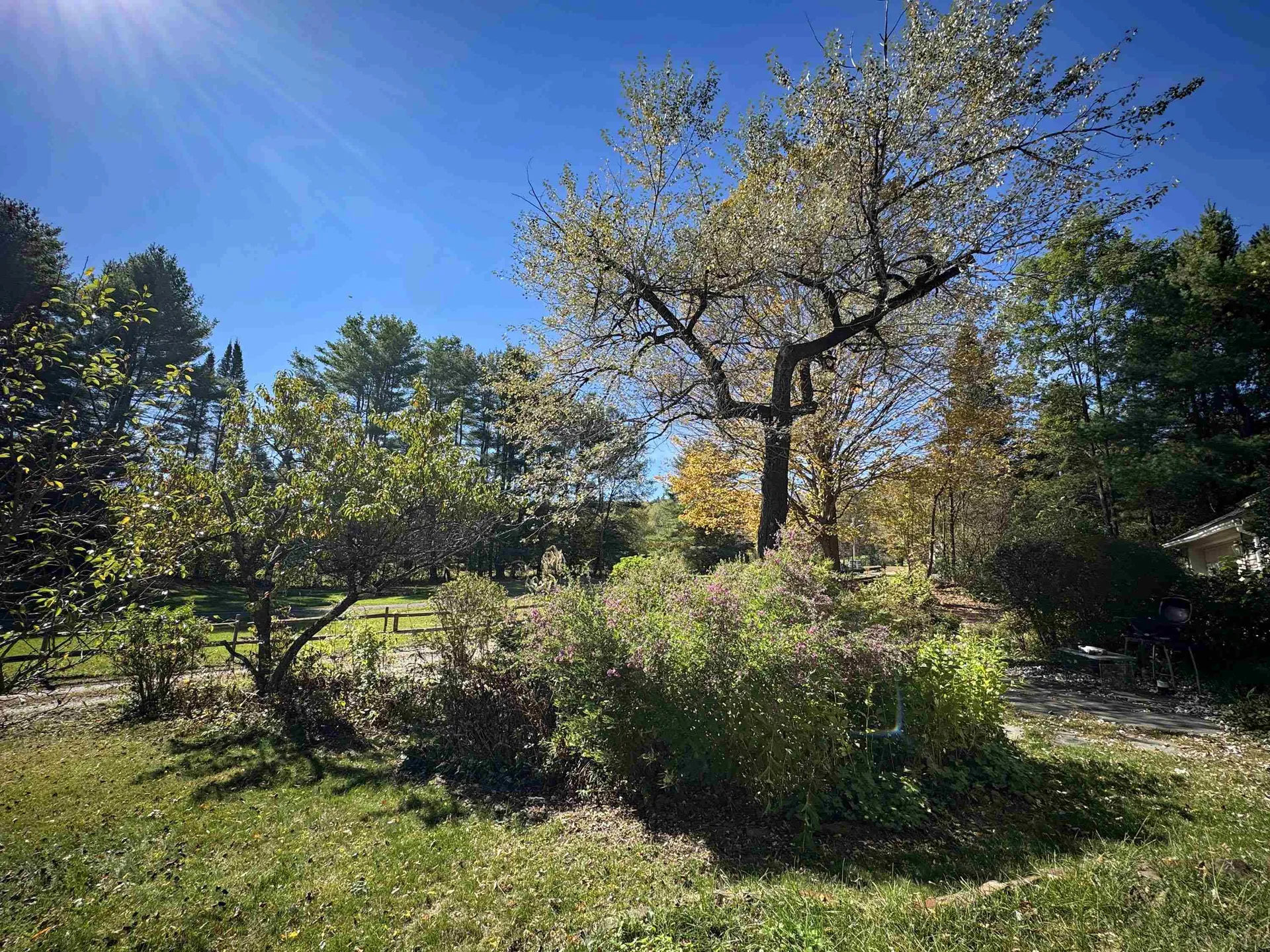 203 Westminster Road Putney VT 05346