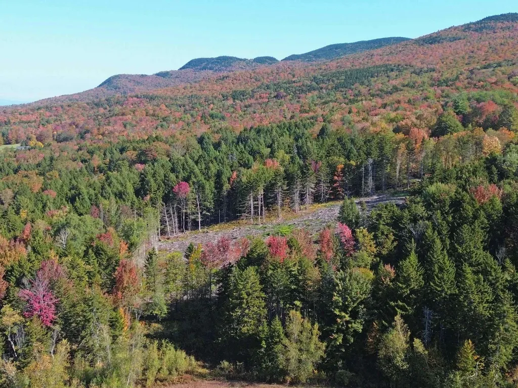 971 Cider Hill Road Warren VT 05674