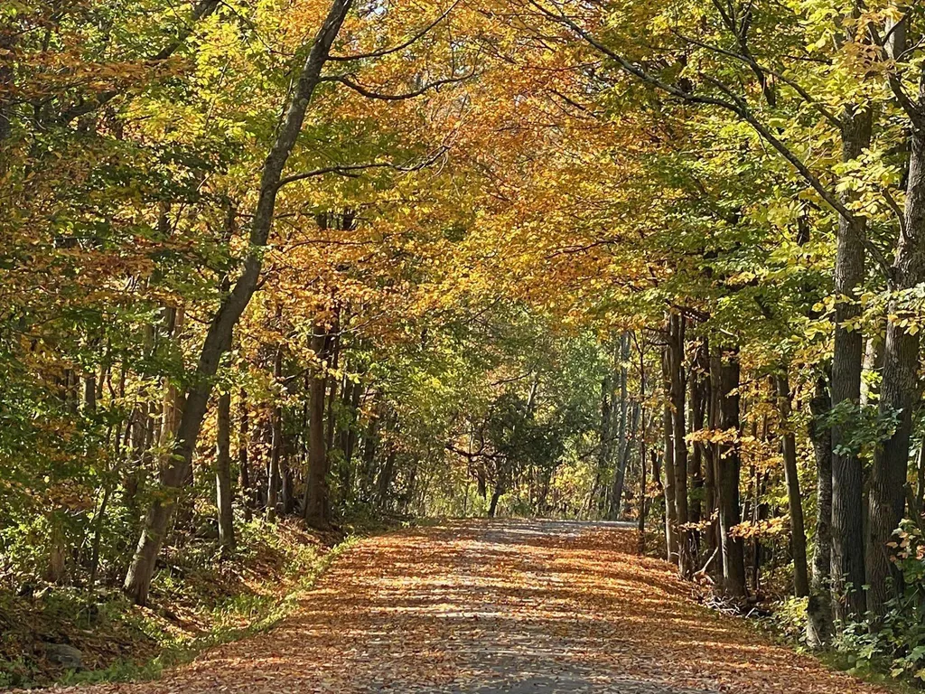 971 Cider Hill Road Warren VT 05674