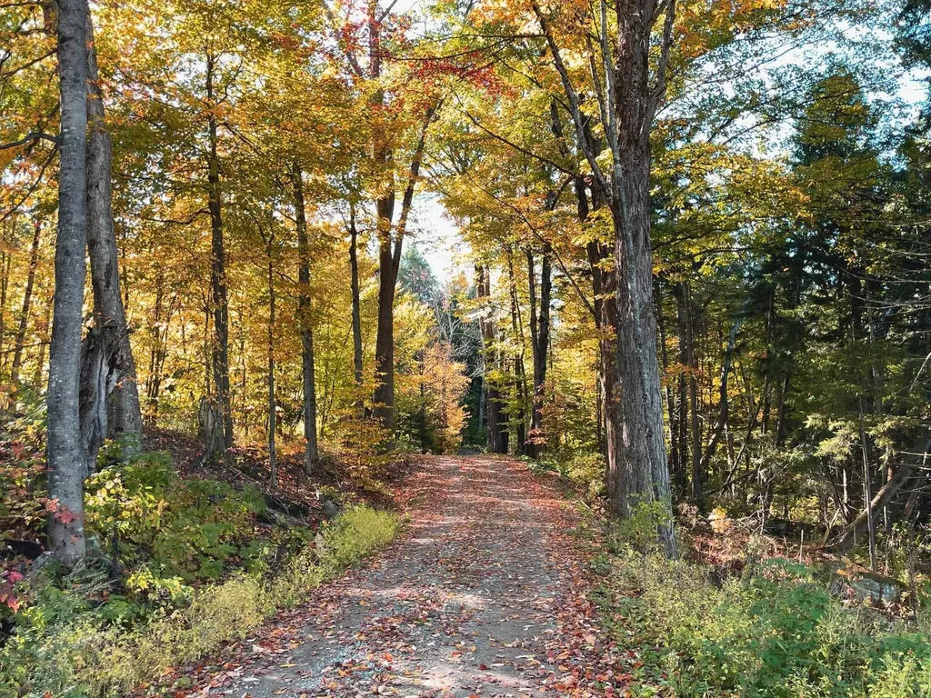 971 Cider Hill Road Warren VT 05674