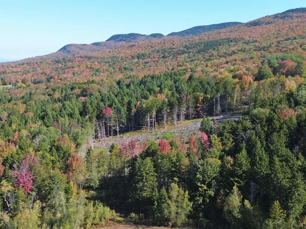 971 Cider Hill Road Warren VT 05674