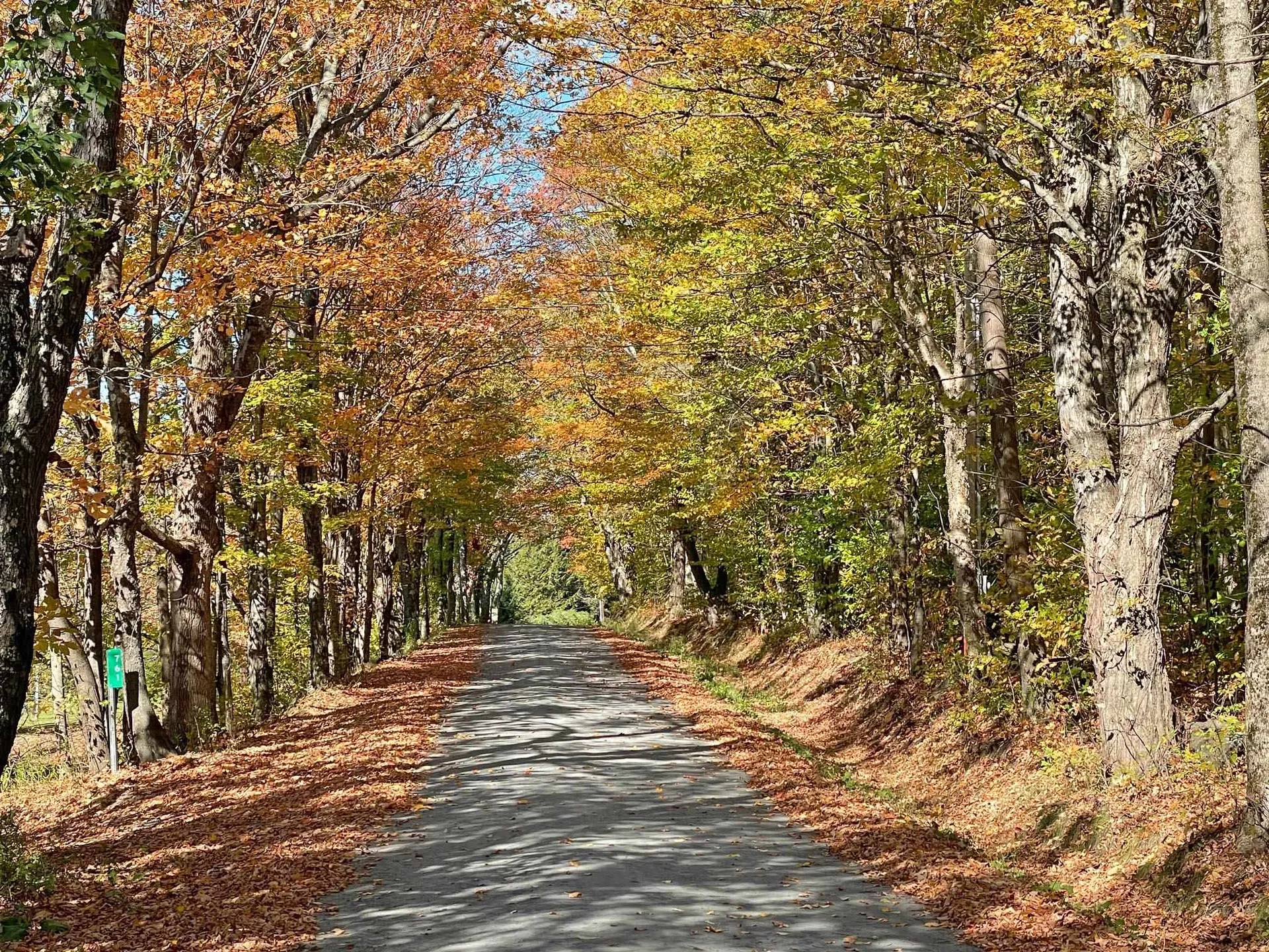 971 Cider Hill Road Warren VT 05674