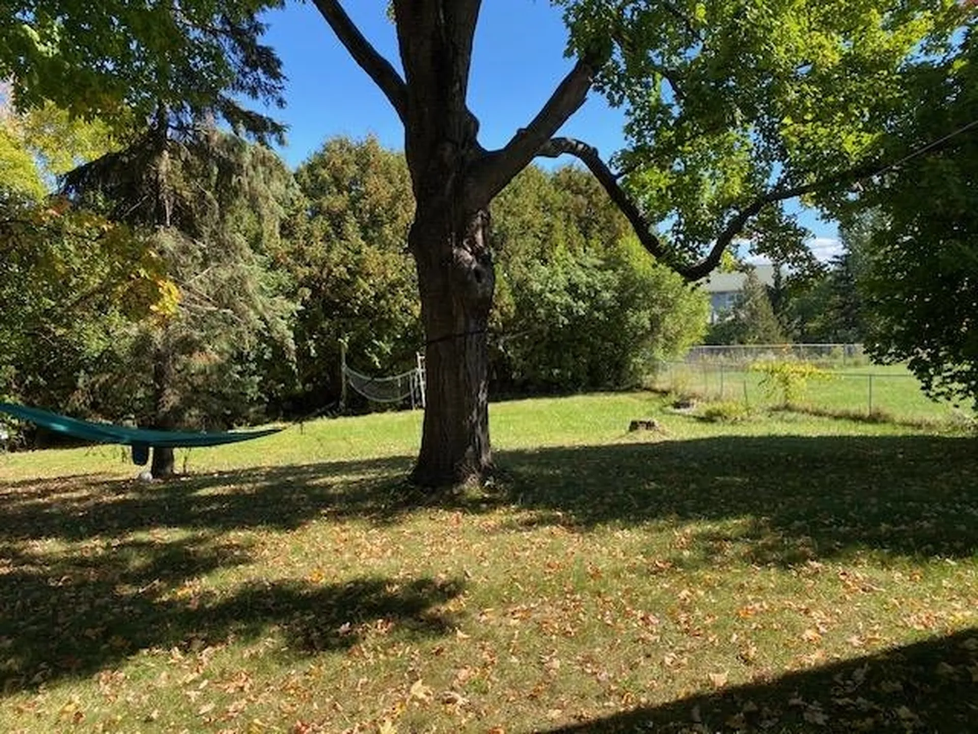 246 East Avenue Burlington VT 05401