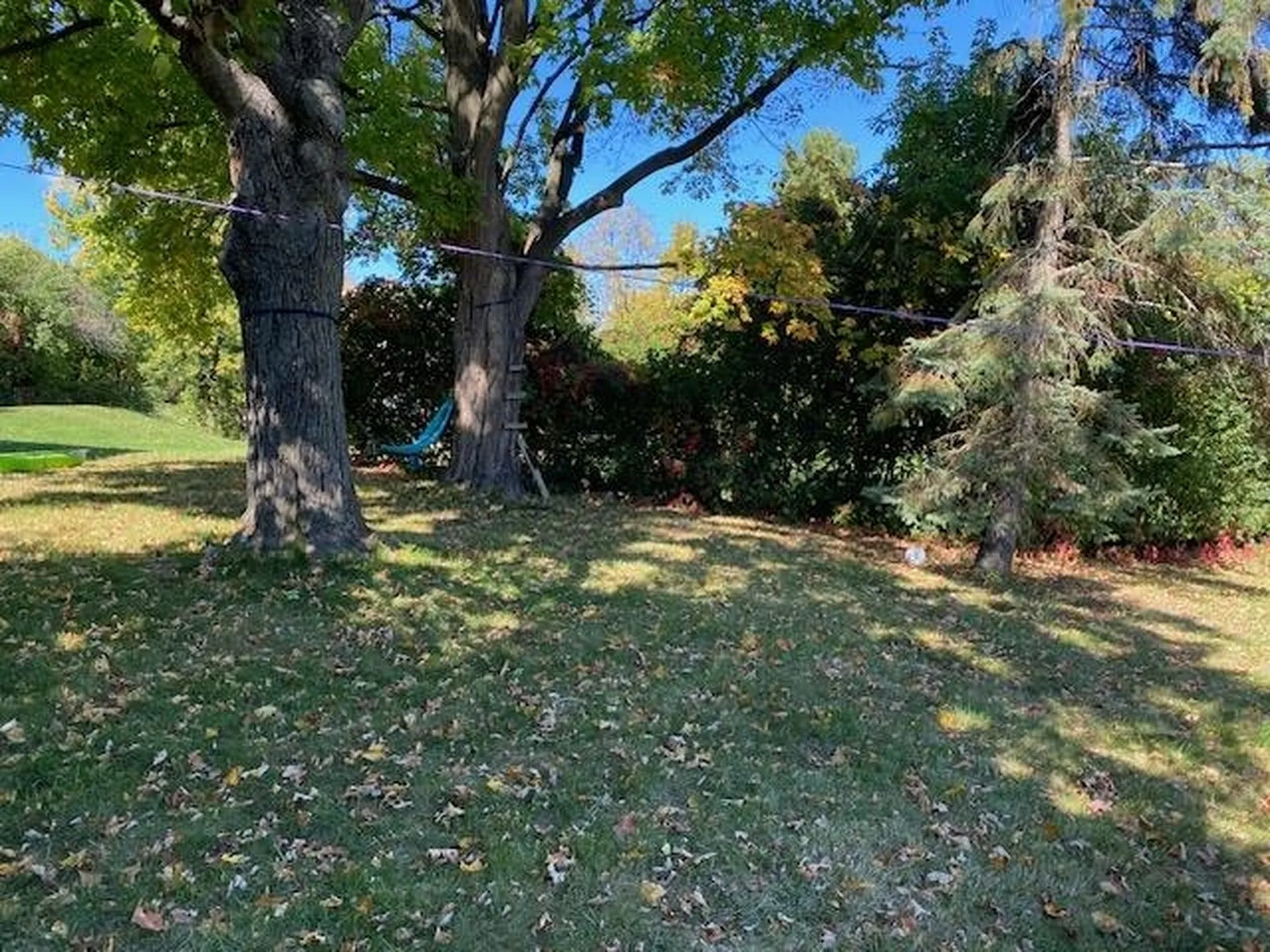 246 East Avenue Burlington VT 05401