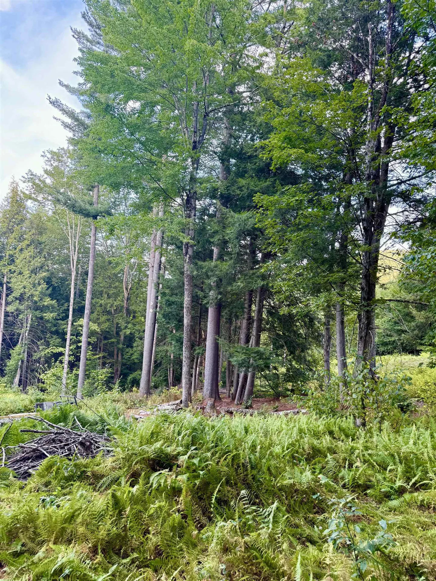 664 Ranney Road Stockbridge VT 05772