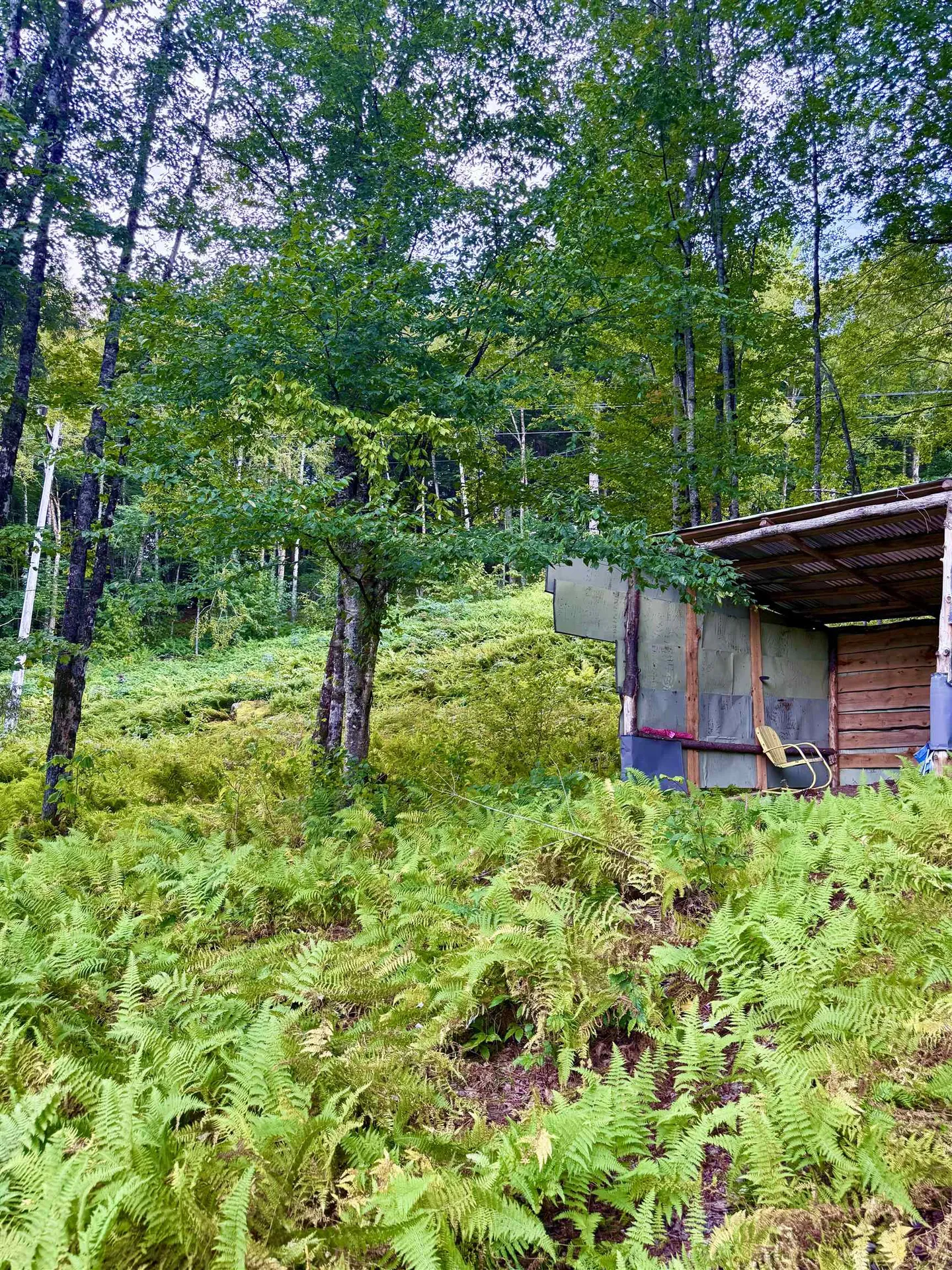 664 Ranney Road Stockbridge VT 05772