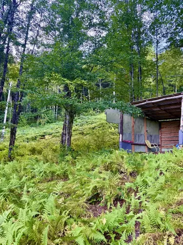 664 Ranney Road Stockbridge VT 05772