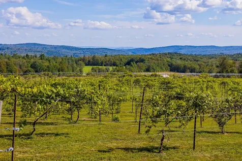 1950 Collins Road Halifax VT 05358