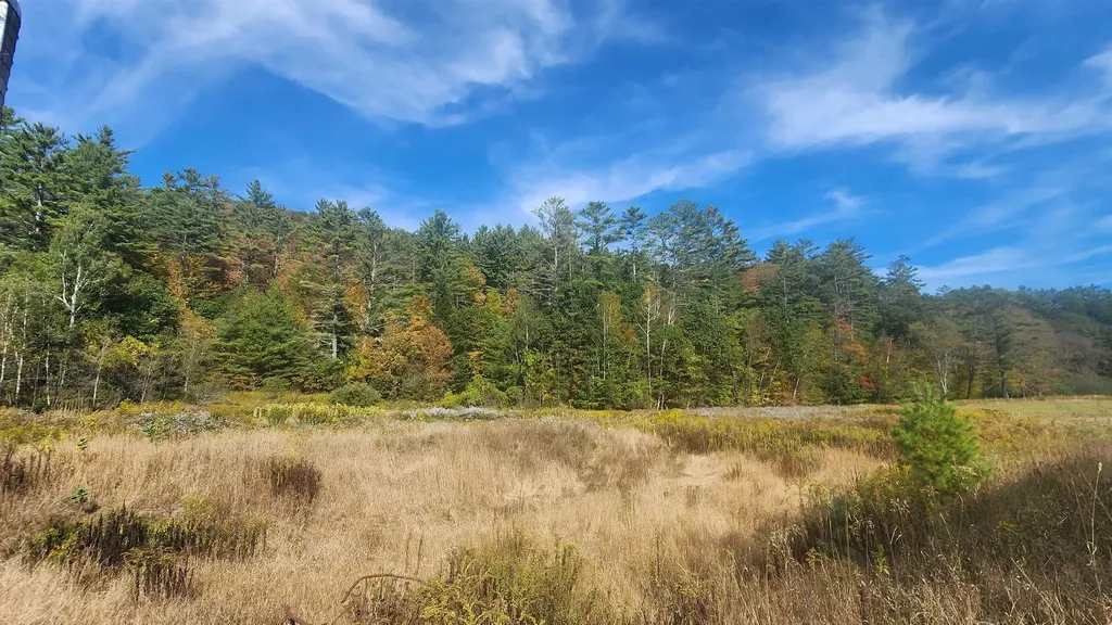 127 Trombley Road Andover VT 05143