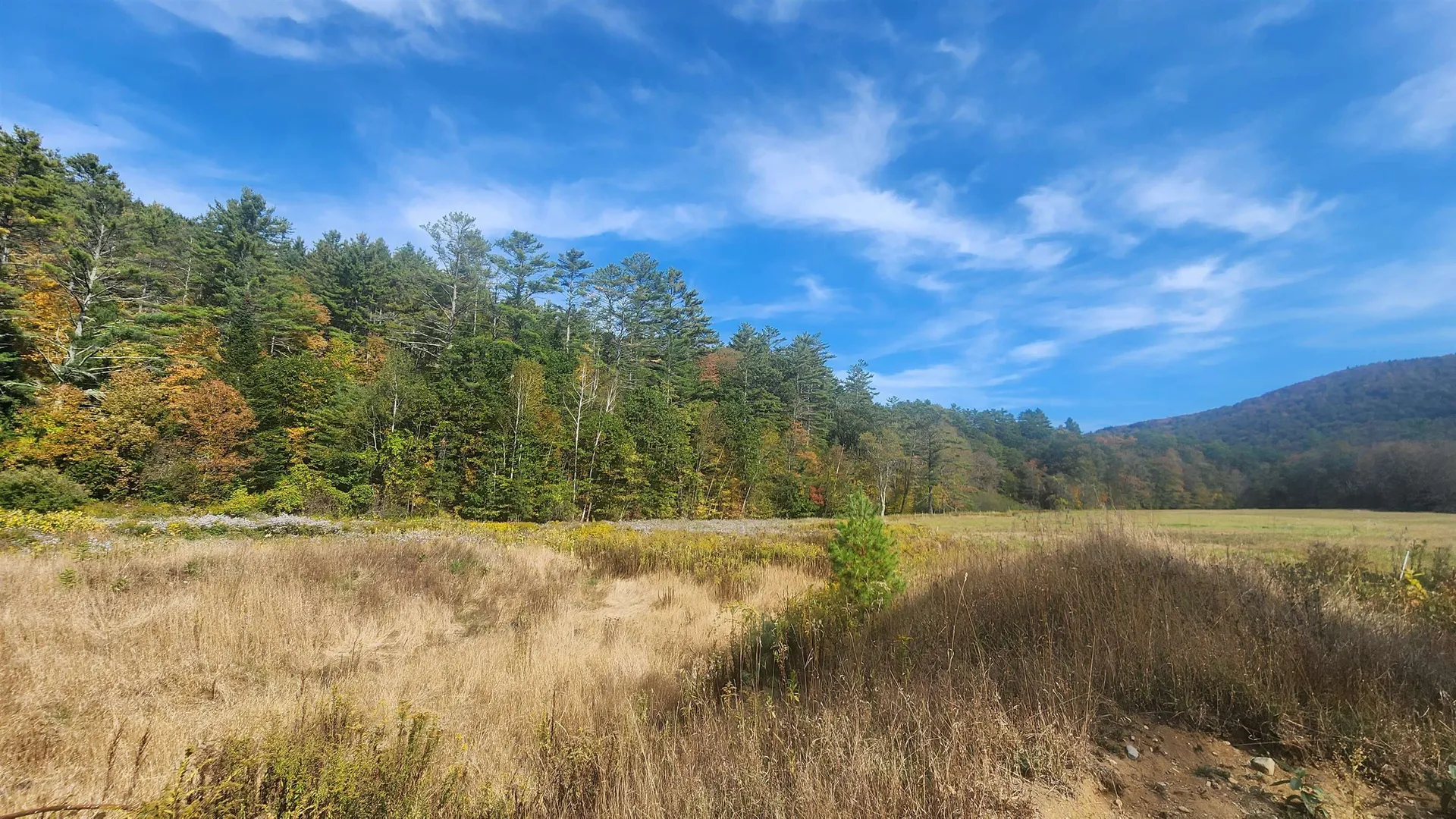 127 Trombley Road Andover VT 05143