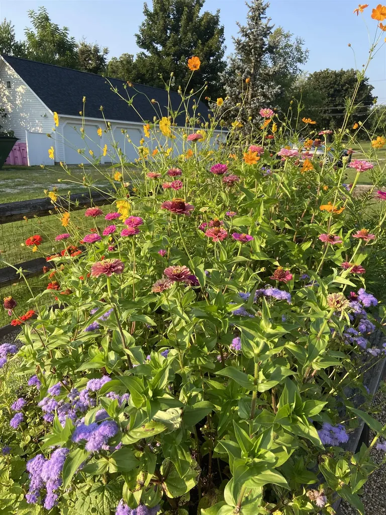 26 N Main Street Mont Vernon NH 03057