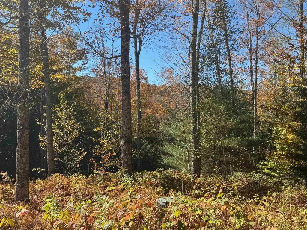 220 Peaceful Way Plainfield VT 05667