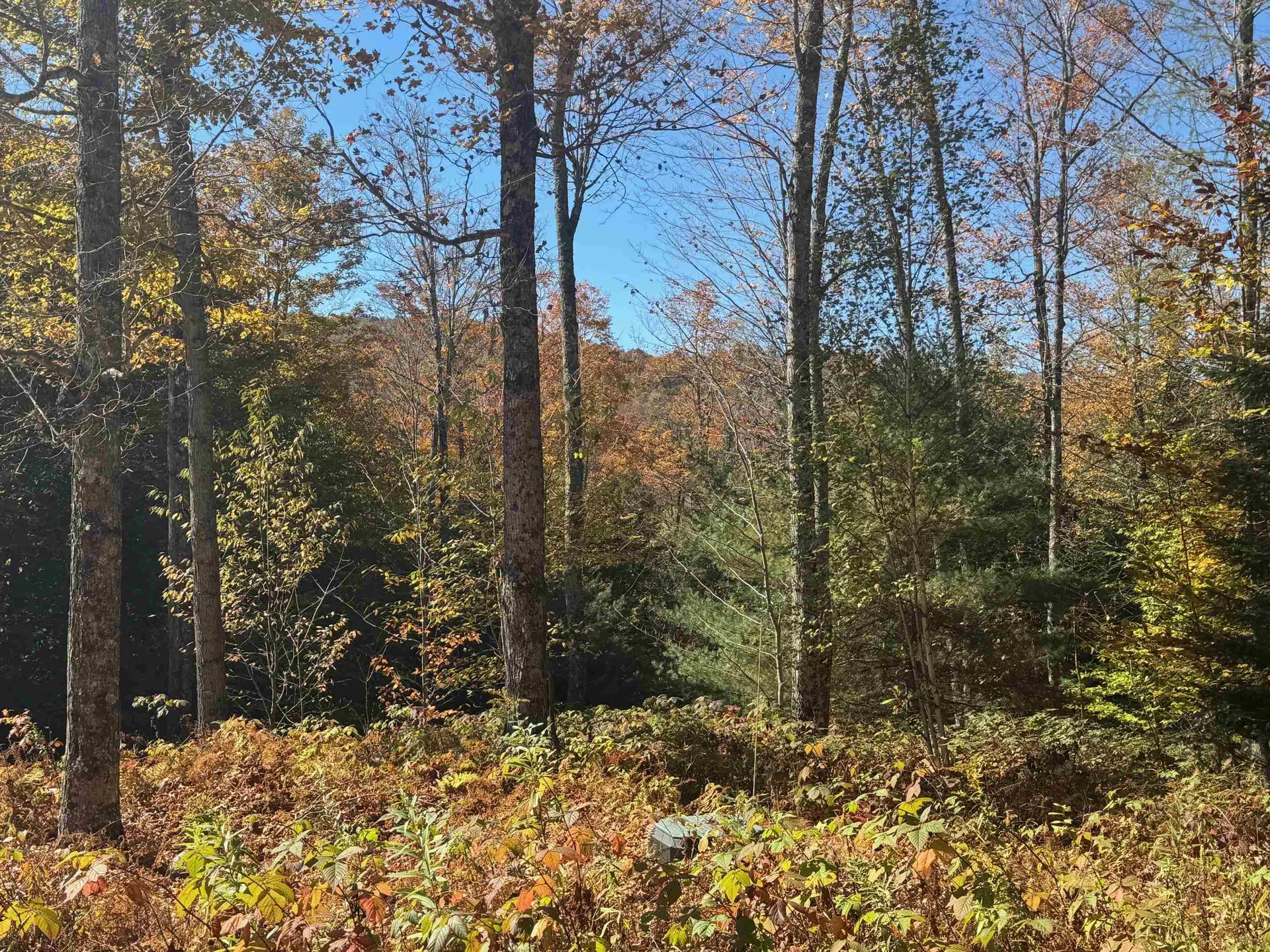 220 Peaceful Way Plainfield VT 05667