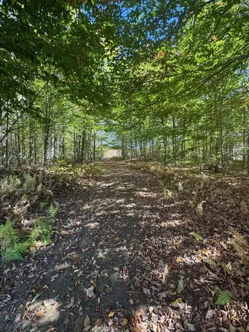 220 Peaceful Way Plainfield VT 05667