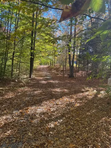 220 Peaceful Way Plainfield VT 05667