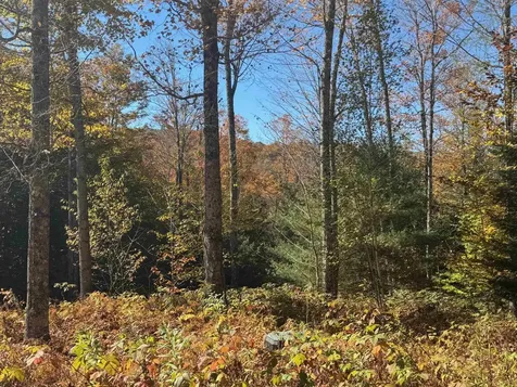 220 Peaceful Way Plainfield VT 05667