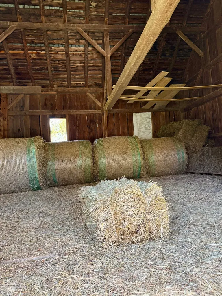 21 County Road Pownal VT 05261