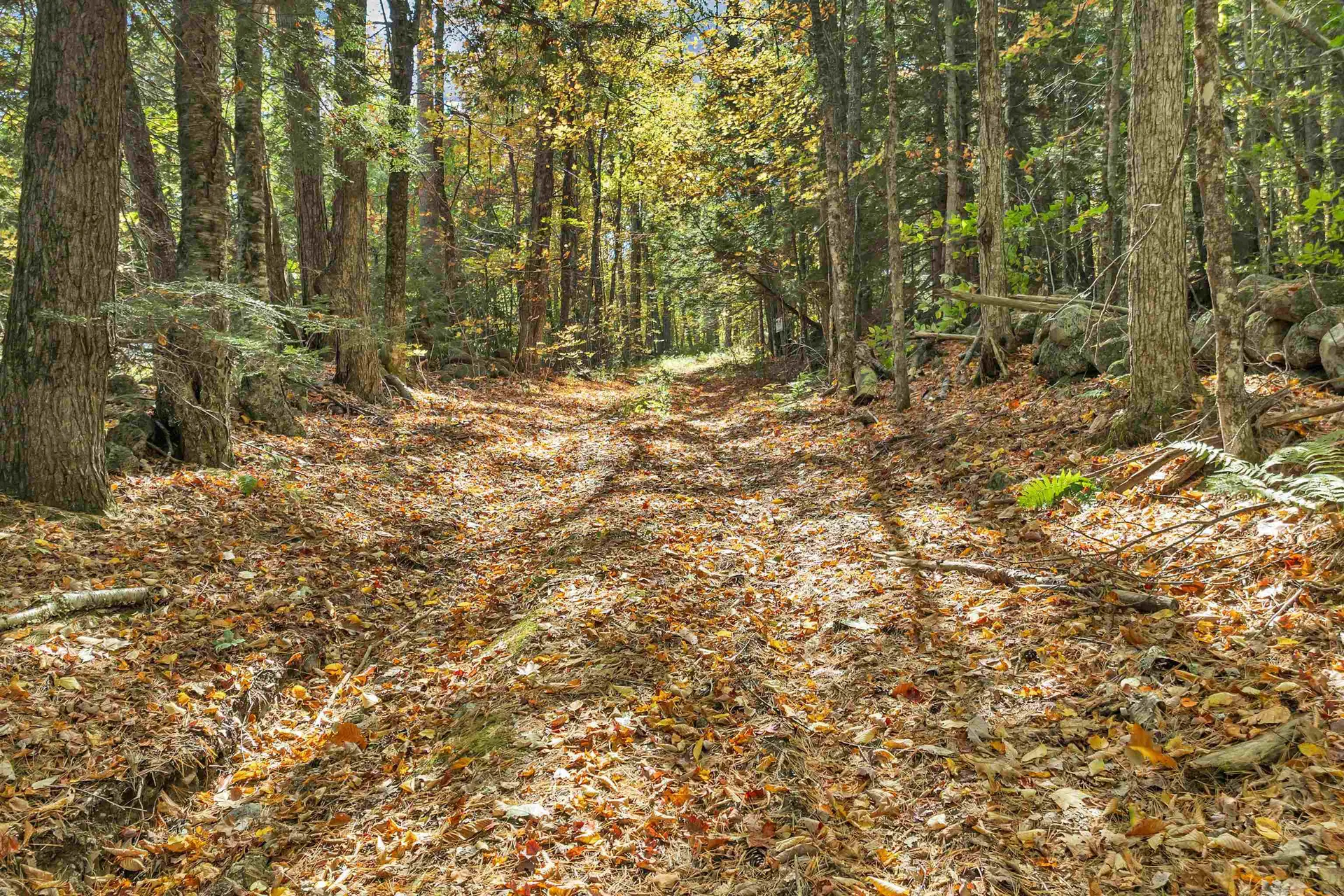 26 Butman Road Bradford NH 03221