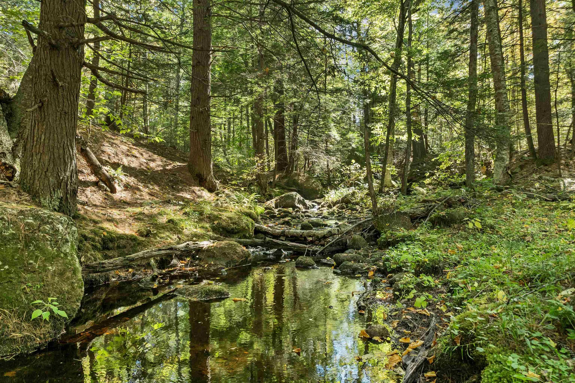 26 Butman Road Bradford NH 03221