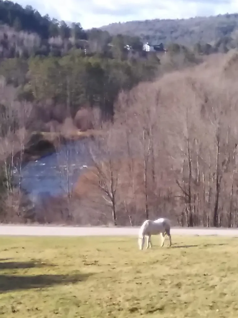 72 Wood Road Hartford VT 05001