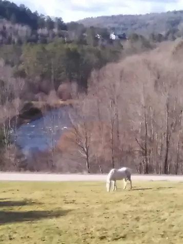 72 Wood Road Hartford VT 05001