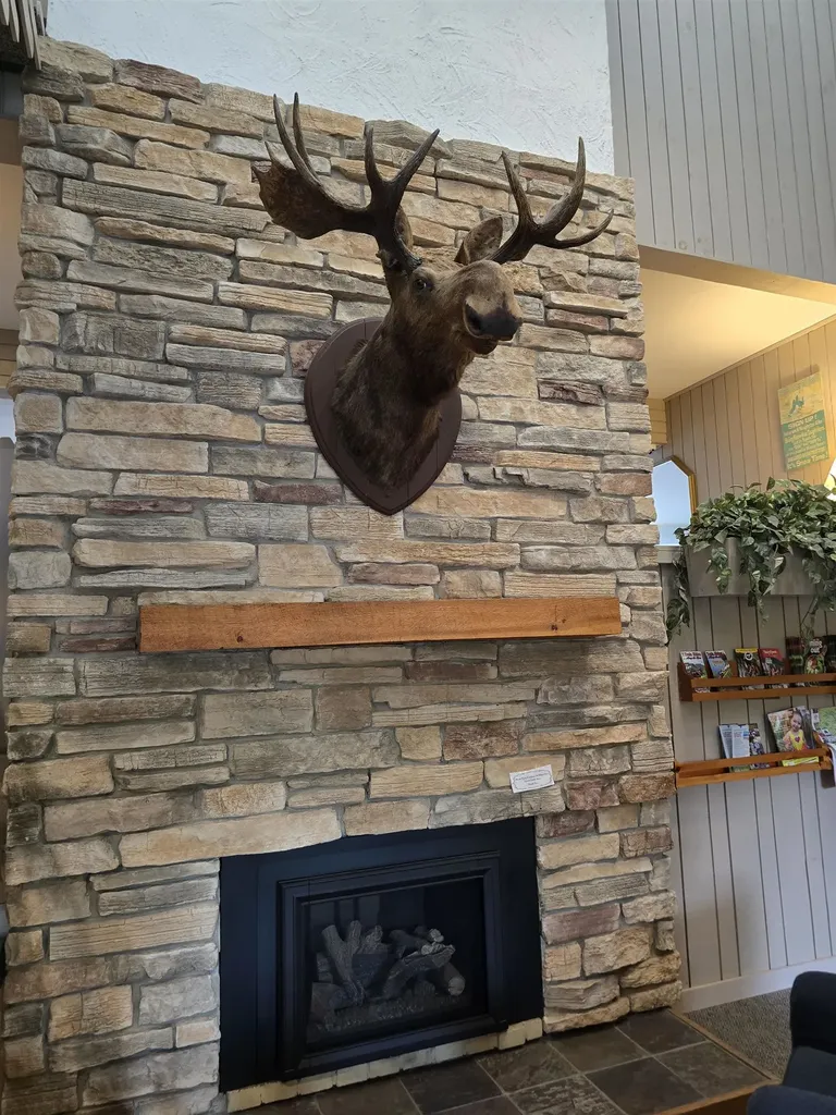 46 Packards Road Waterville Valley NH 03215