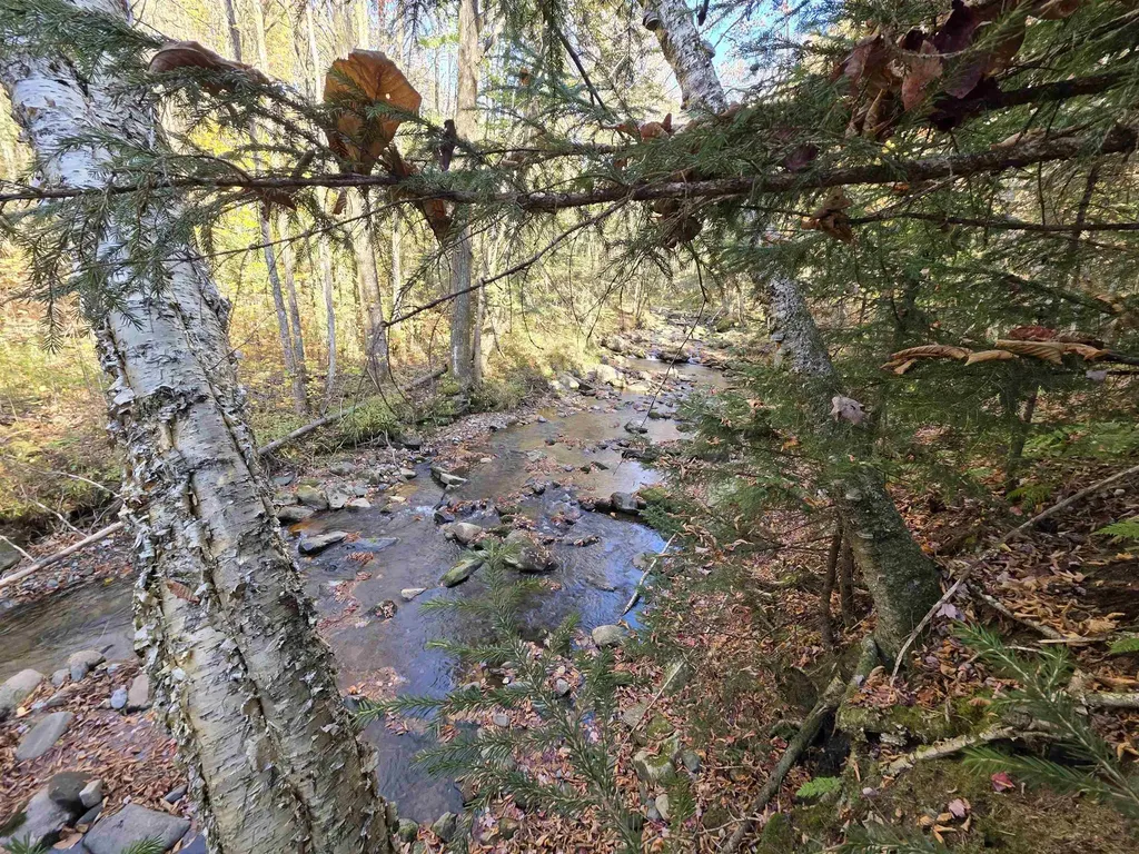 Washburn Road Columbia NH 03576