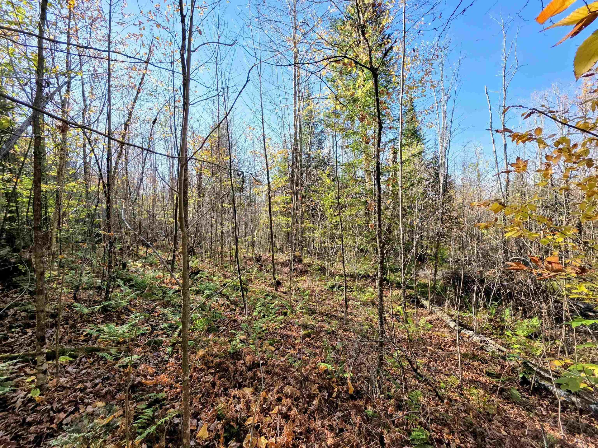 Washburn Road Columbia NH 03576