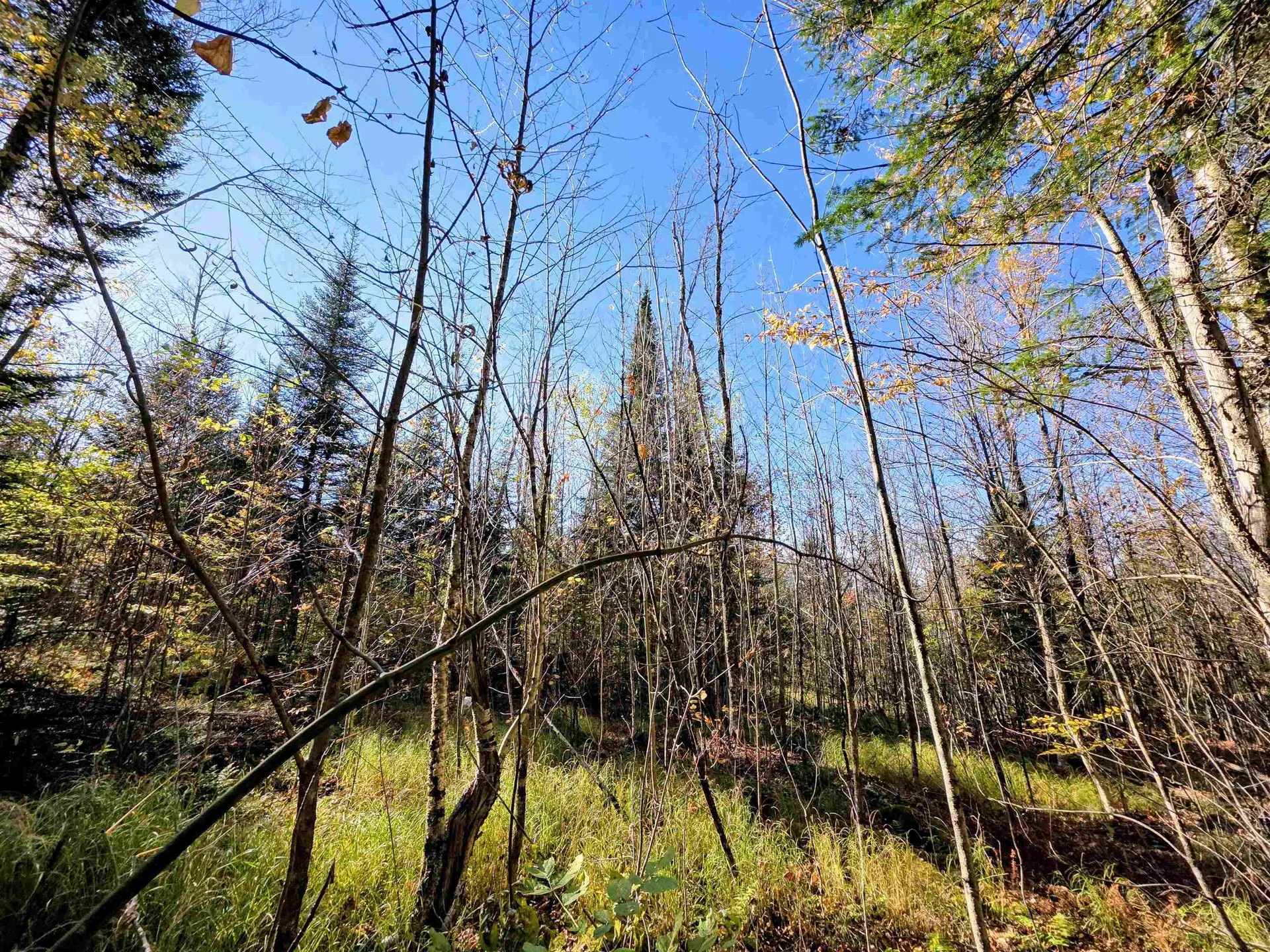 Washburn Road Columbia NH 03576