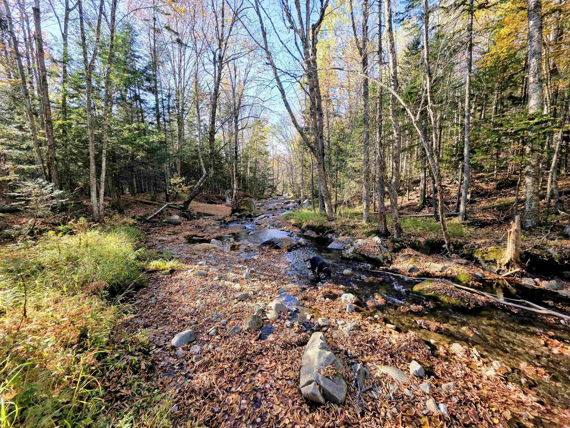 Washburn Road Columbia NH 03576