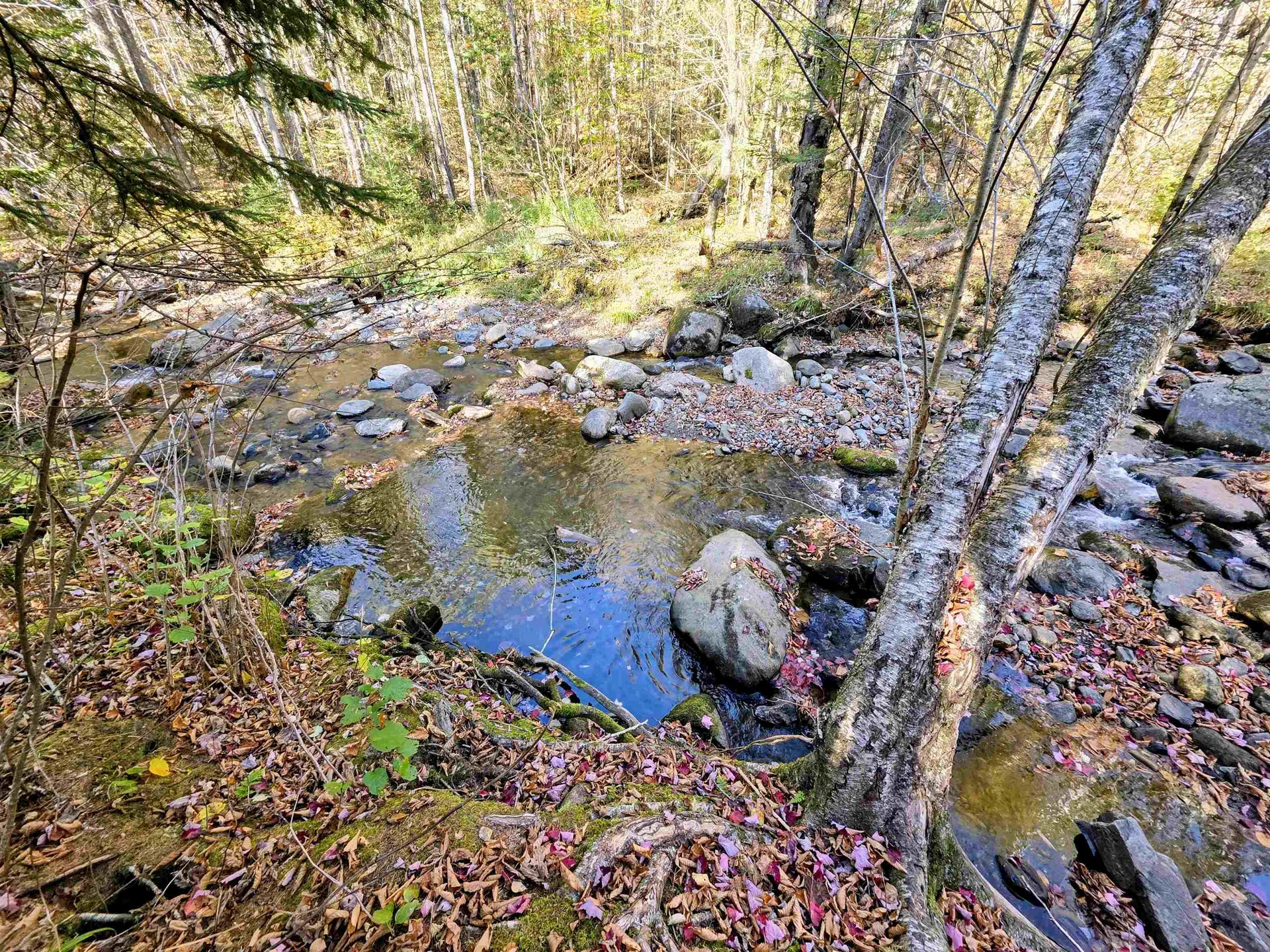 Washburn Road Columbia NH 03576