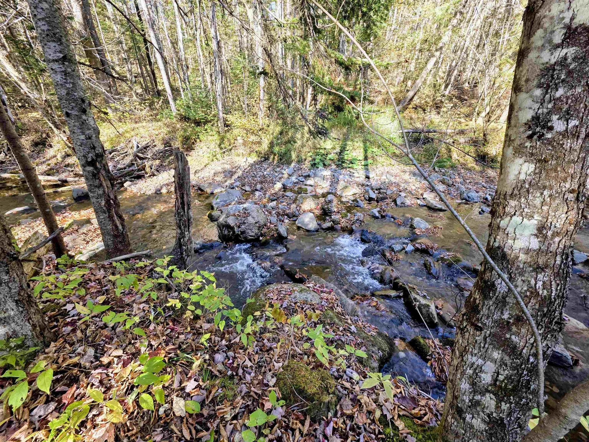 Washburn Road Columbia NH 03576