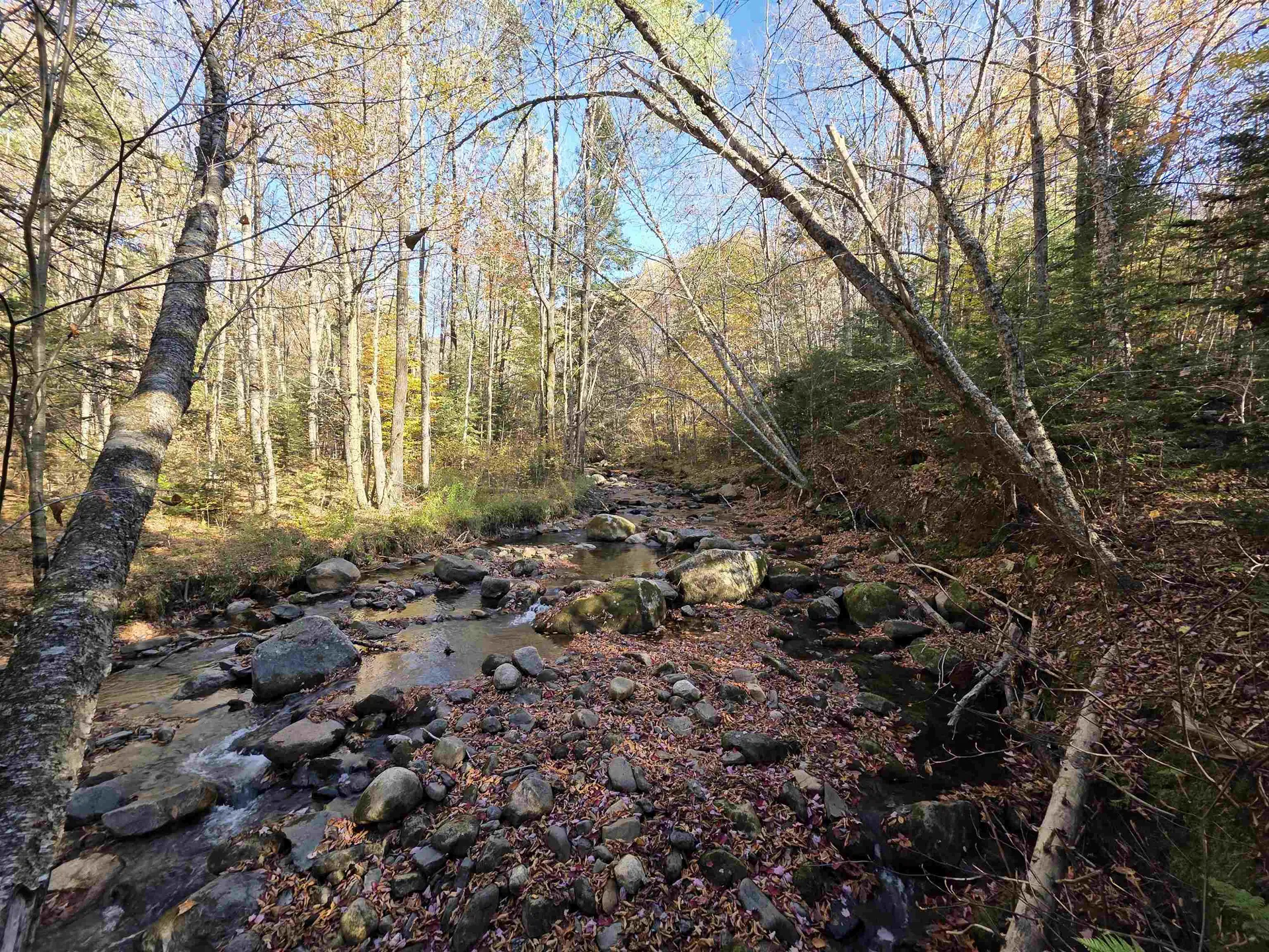 Washburn Road Columbia NH 03576